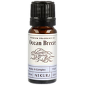 Ocean Breeze Fragrance Oil